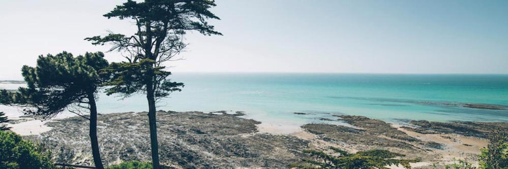 Les Iles Vue Sur Mer Agon-Coutainville Luaran gambar